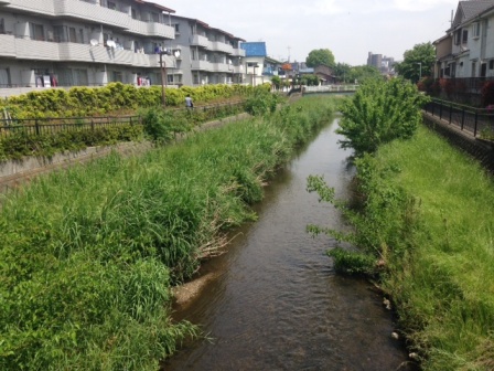 ③中橋NO1(小山・幸町.JPG