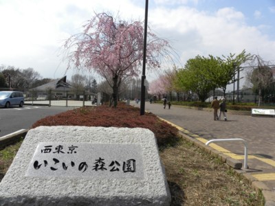 いこいの森公園.jpg