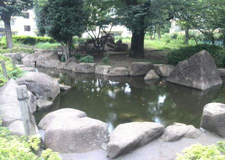 いちょう公園池.jpg
