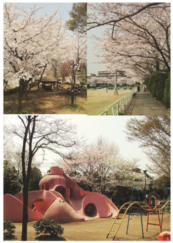 向台運動場・田無市民公園.PNG