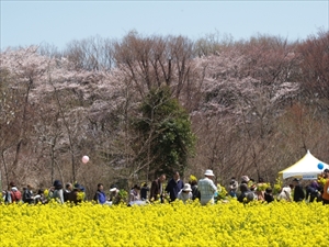 新座春まつり270327 (3)_R.jpg