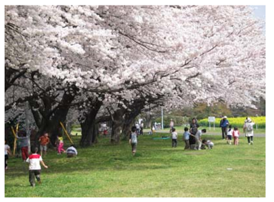 東京大学大学院農学生命科学研究科附属生態調和農学機構（旧東大農場）.PNG