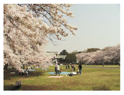 都立小金井公園.PNG