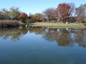 金山公園②.jpg