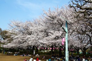 ［東町　文理台公園］260405市.jpg