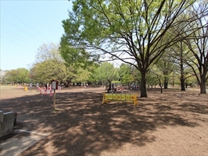 小金井公園_R.jpg