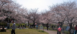 台田運動公園.jpg