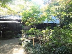 平林寺2.jpg