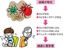 画像C.PNG