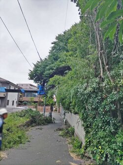 写真③.JPG