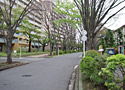 midori_photo_K260425市.jpg