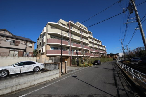 36266-gai1.jpg