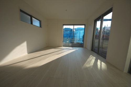 38513 1r1.JPG