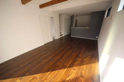 38673lli2.jpg