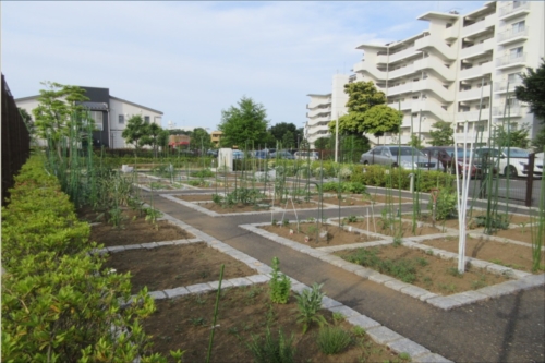 32514菜園.jpg