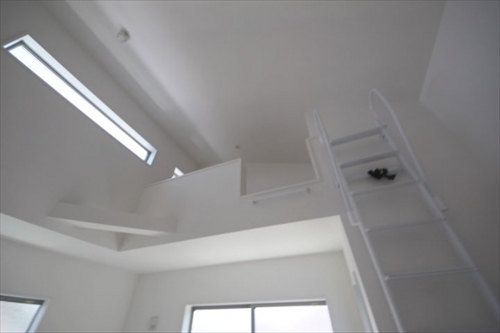 32565ro.jpg